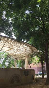 夏天、樓下公園